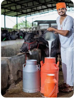 Natural Fresh Milk